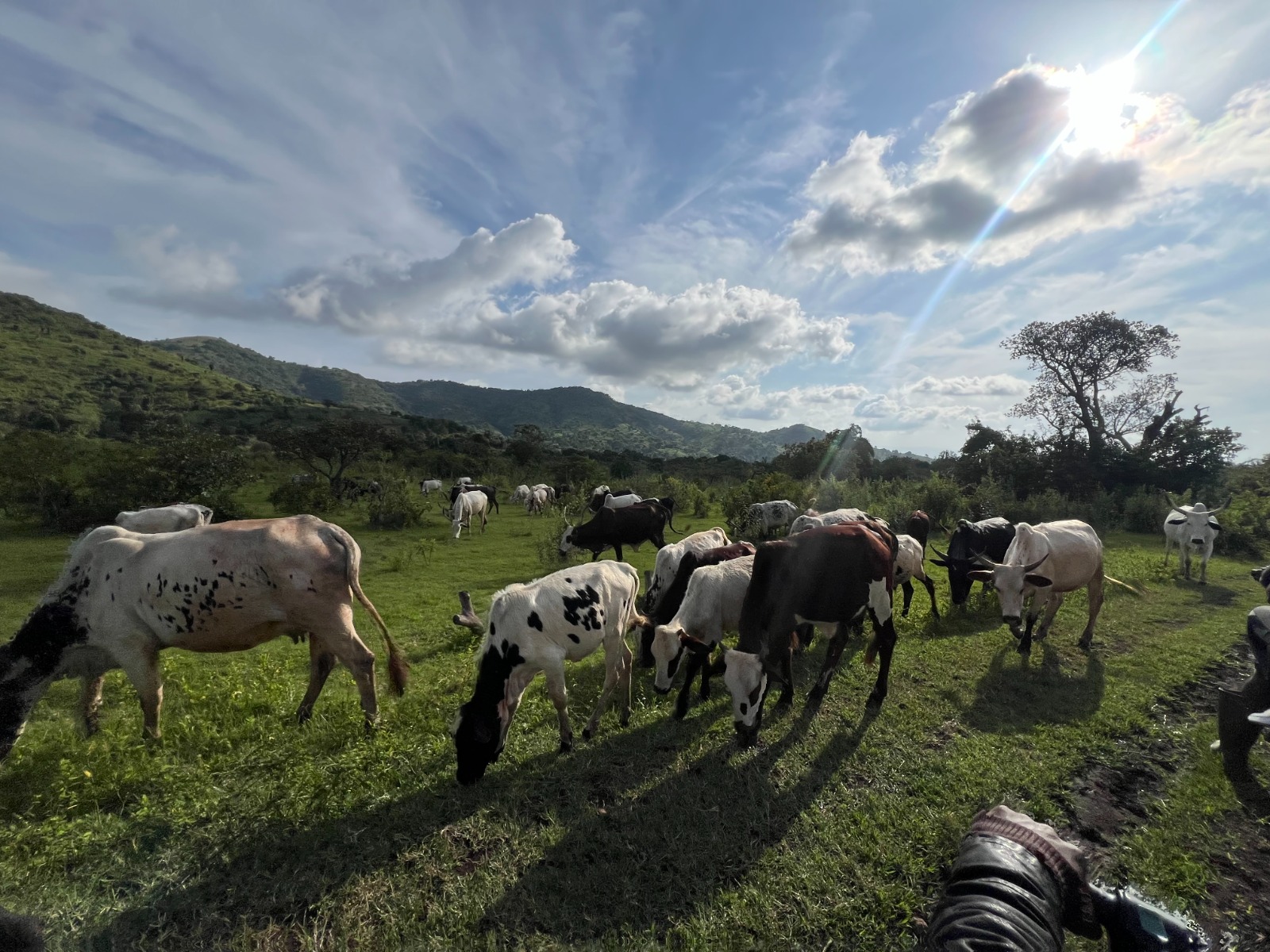 Aire Grassfield circuit de 3 jours deux nuits au départ de Douala. galerie 2