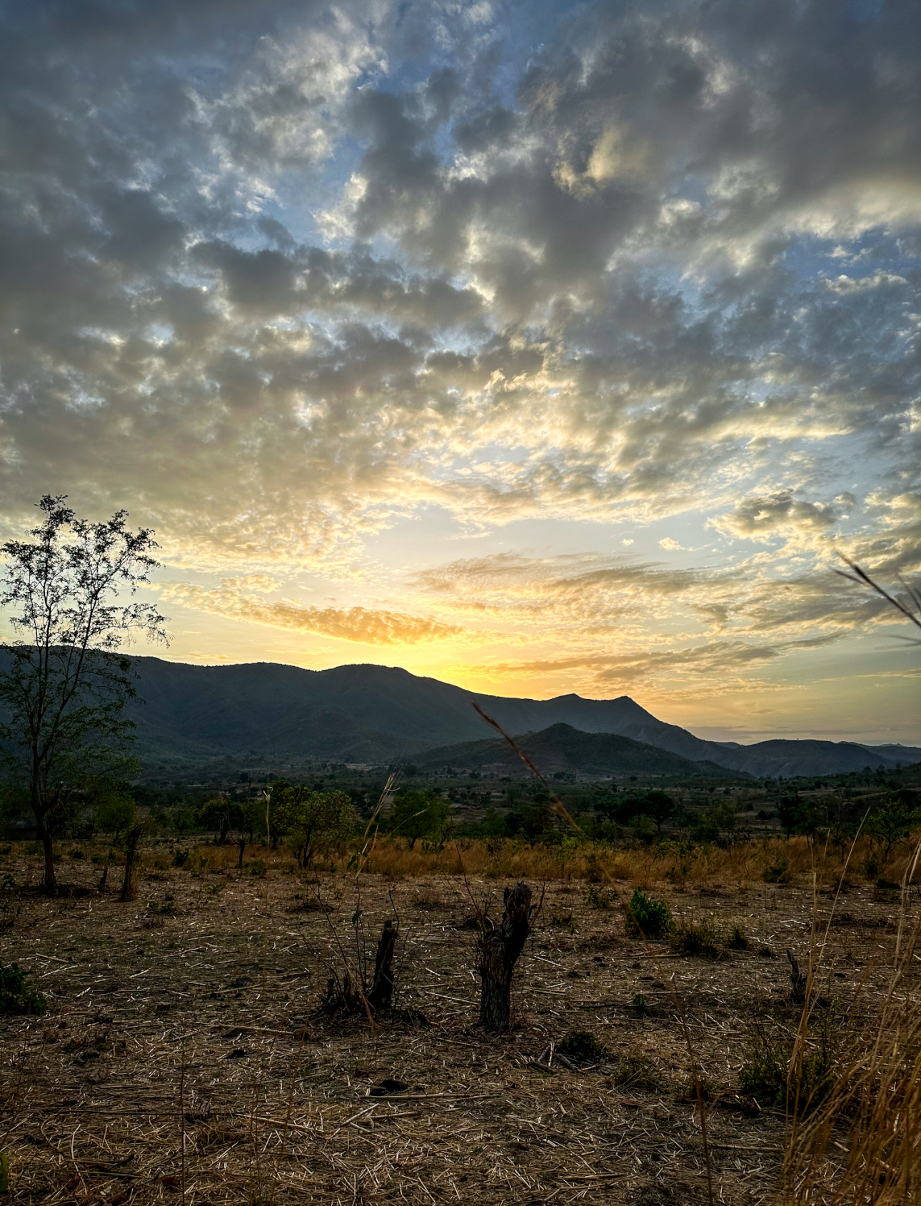 GRAND CIRCUIT DÉCOUVERTE Nord – Est – Ouest du Cameroun : Safari, culture et immersion