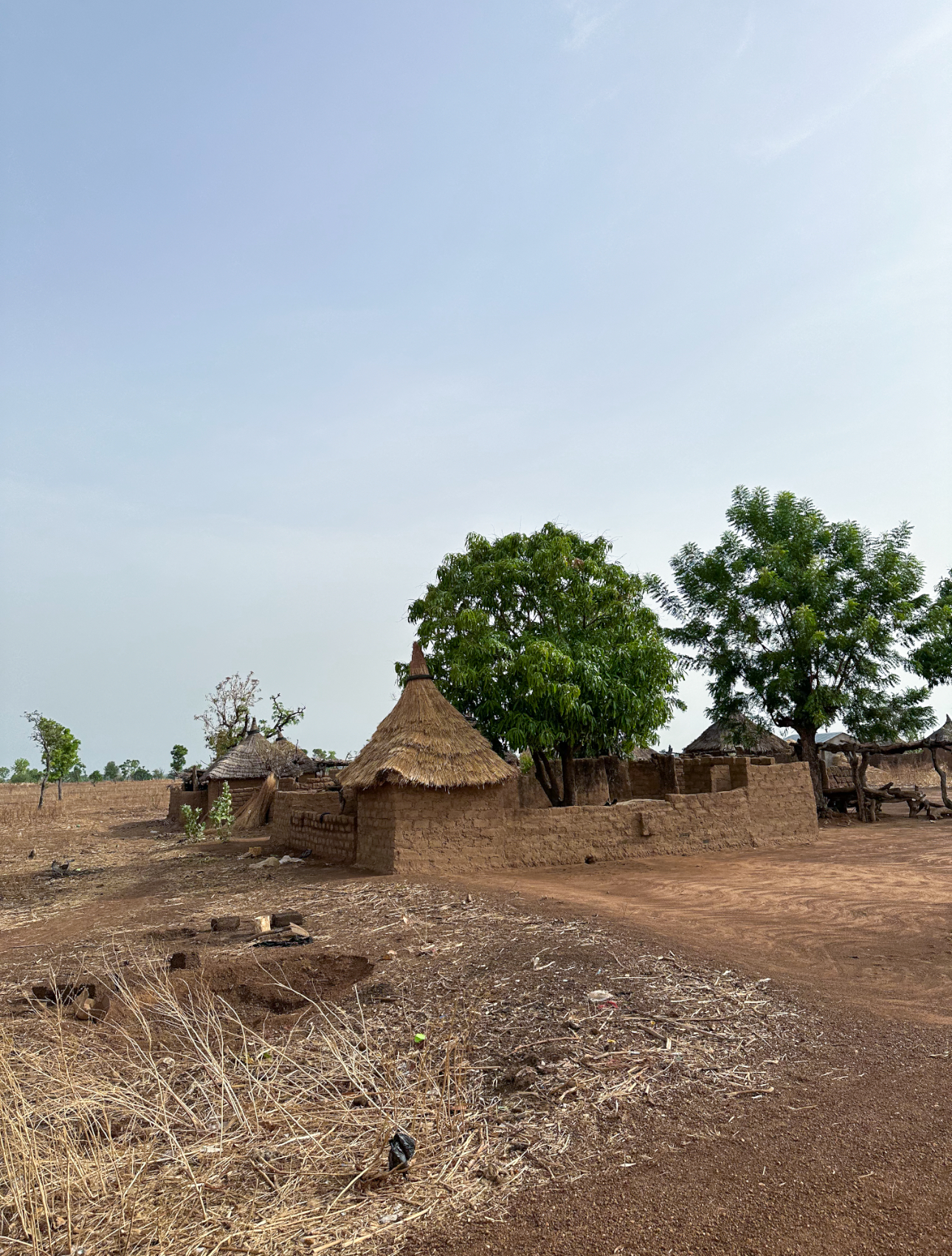 GRAND CIRCUIT DÉCOUVERTE Nord – Est – Ouest du Cameroun : Safari, culture et immersion galerie 1