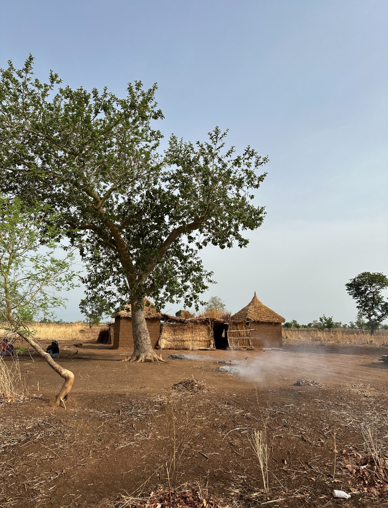 GRAND CIRCUIT DÉCOUVERTE Nord – Est – Ouest du Cameroun : Safari, culture et immersion galerie 2