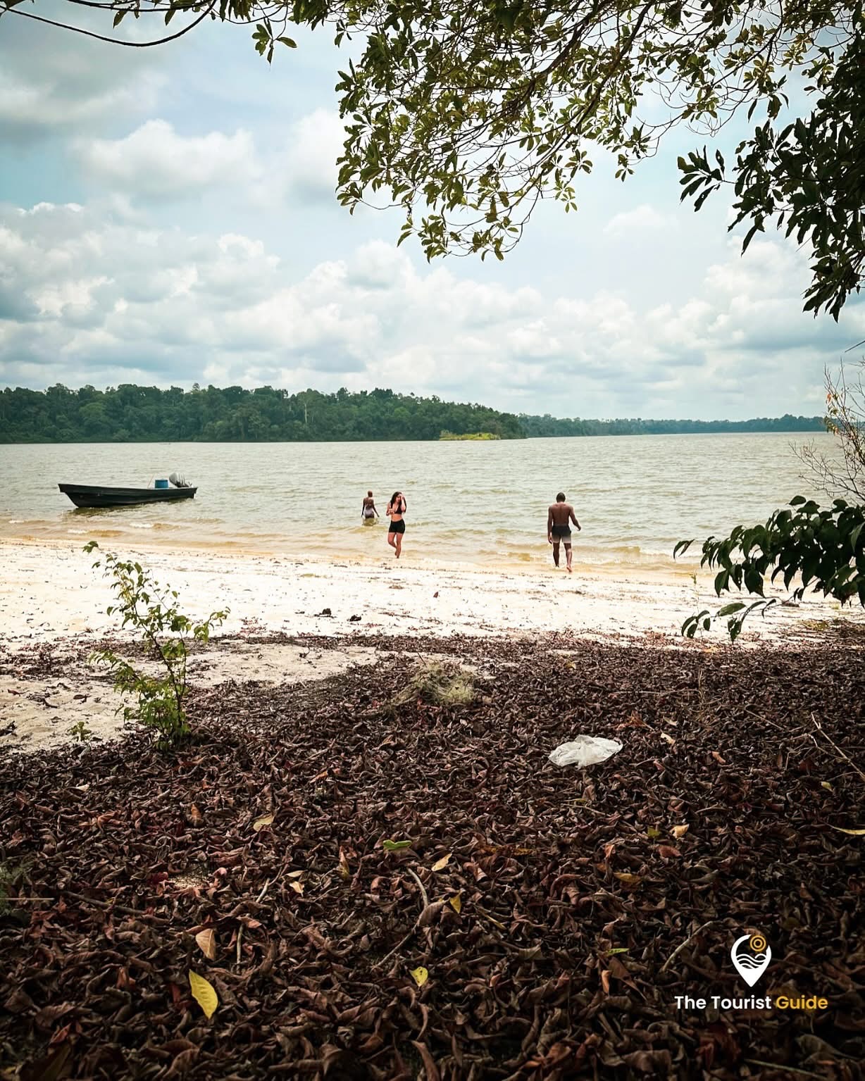 DOUALA-EDÉA WILDLIFE EXPERIENCE