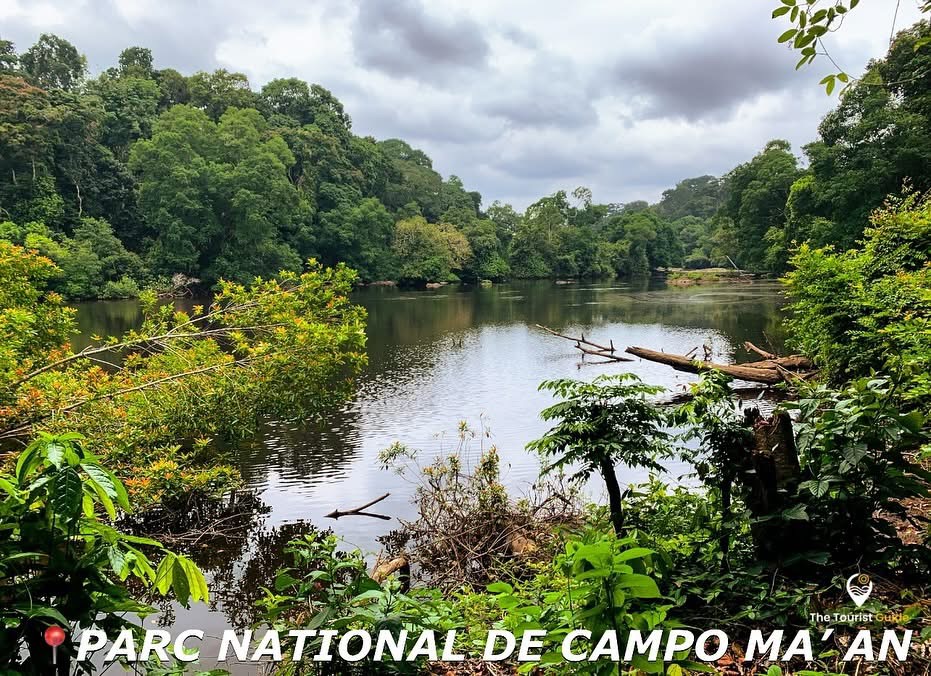 Campo Ma’an Wild Expedition